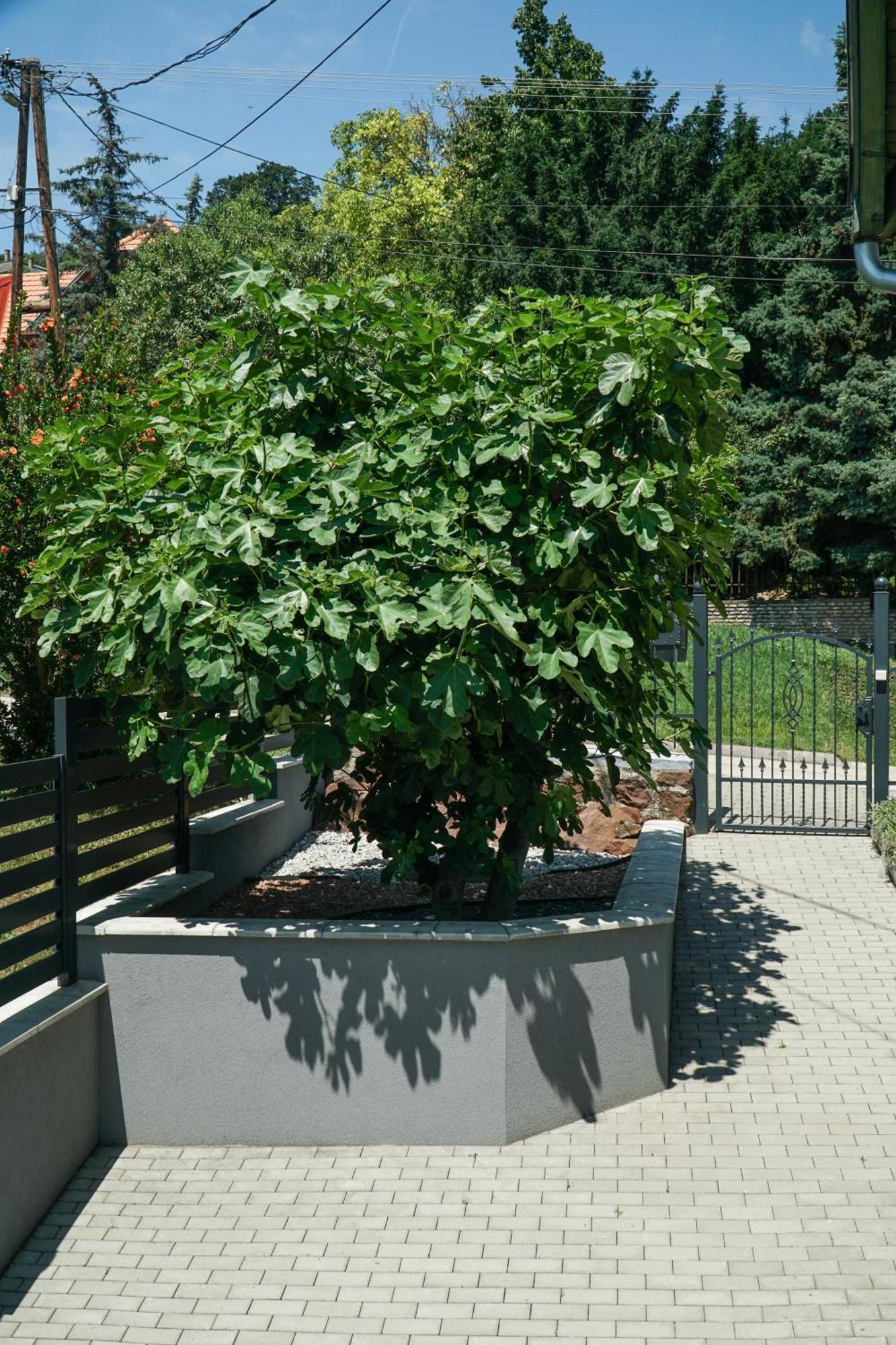Fuegefa Apartman Balatonalmádi Екстериор снимка